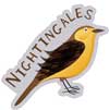 nightingaleclass