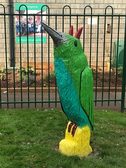 woodpecker at Longvernal