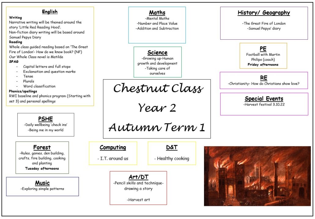Term 1 Overview