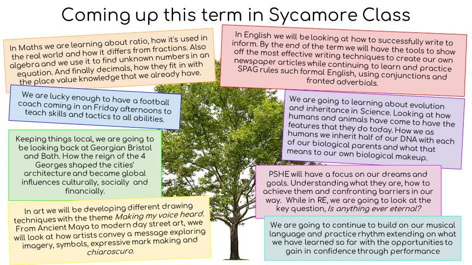 Coming up in Term 3