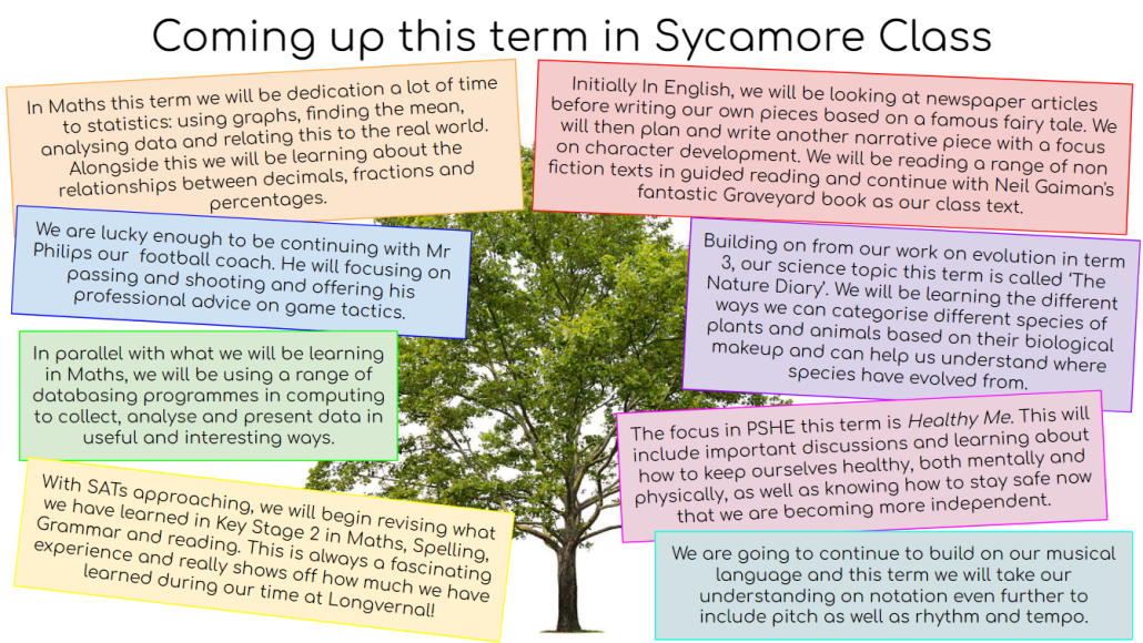 Coming up in term 4