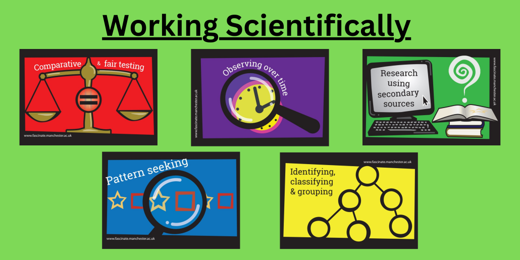 Working Scientifically