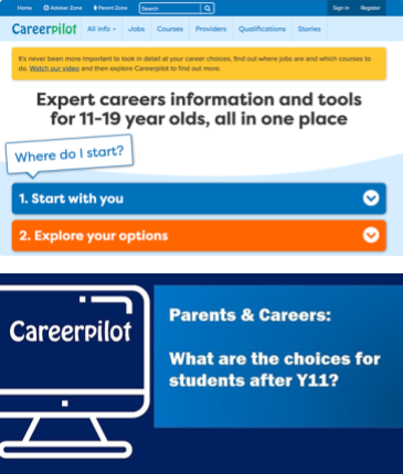 Career Pilot site