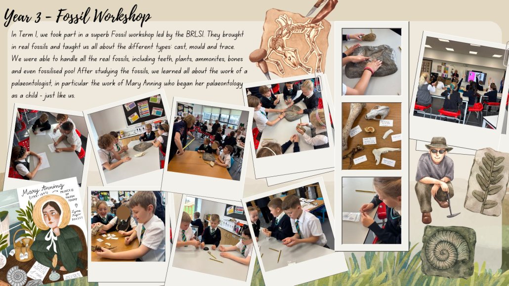 Y3 - T1 - Fossil Workshop