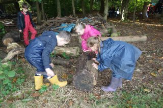 Outdoor Learning