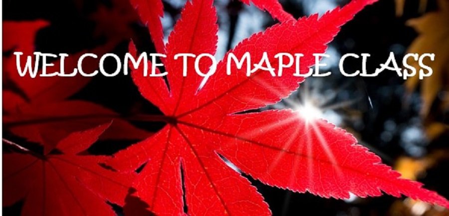 MAPLE CLASS