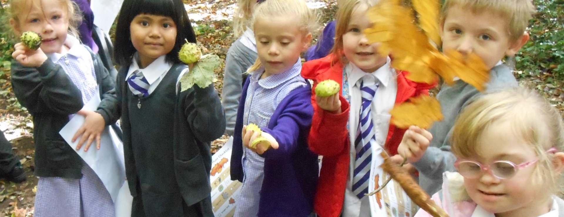 Forest School Banner