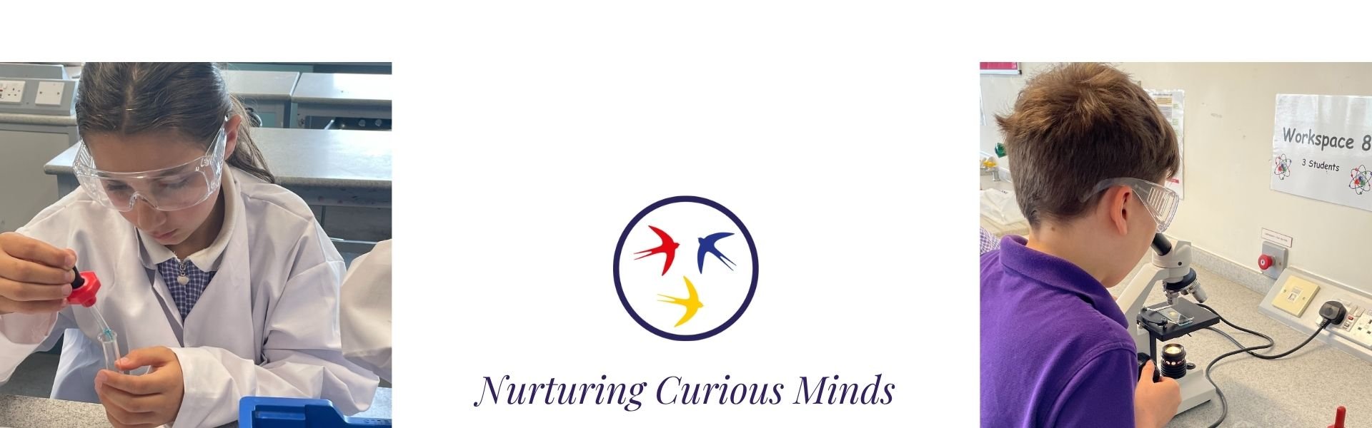 Nurturing Curious Minds