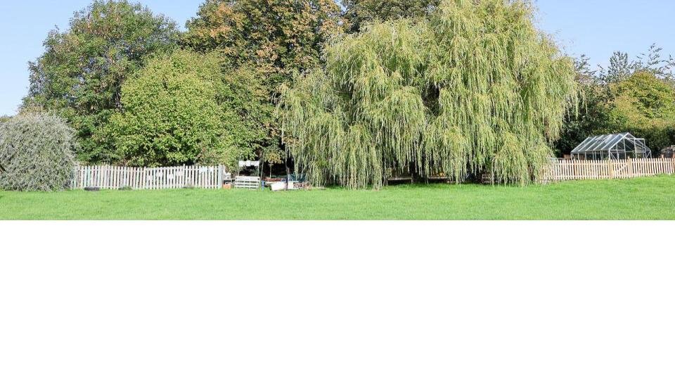 willow & garden