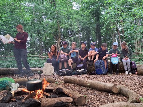 School Visit to Watercress Farm at Belmont Estate - Term 6