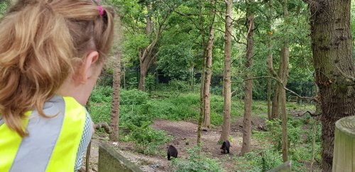 Rowan class visit the Wild Place