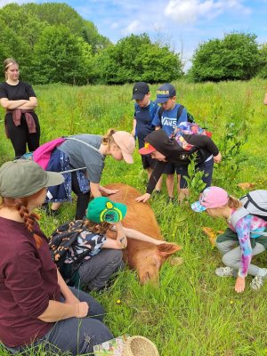 School Visit to Watercress Farm at Belmont Estate - Term 6