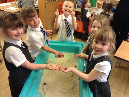 Fossil Hunting in year 1